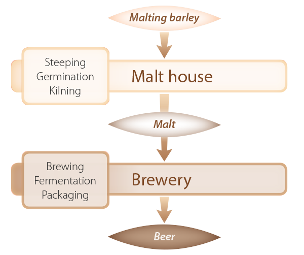 Beer production diagram